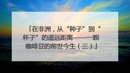 在非洲，从“种子”到“杯子”的遥远距离——一颗咖啡豆的前世今生（三）