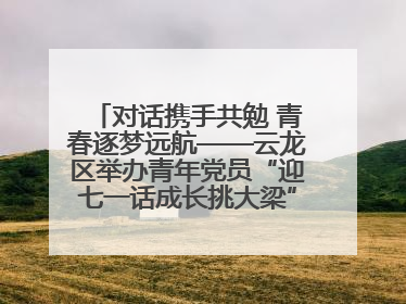 对话携手共勉 青春逐梦远航——云龙区举办青年党员“迎七一话成长挑大梁”交流活动