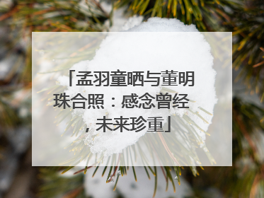 孟羽童晒与董明珠合照：感念曾经，未来珍重
