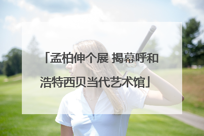 孟柏伸个展 揭幕呼和浩特西贝当代艺术馆
