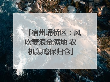 宿州埇桥区：风吹麦浪金满地 农机轰鸣保归仓