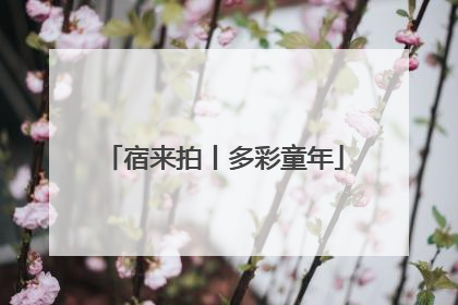 宿来拍丨多彩童年