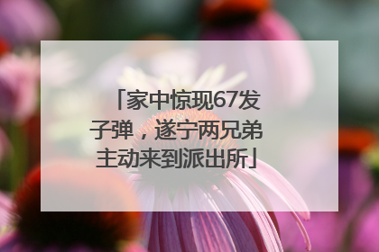 家中惊现67发子弹，遂宁两兄弟主动来到派出所