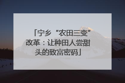 宁乡“农田三变”改革：让种田人尝甜头的致富密码