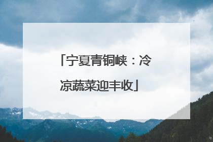 宁夏青铜峡：冷凉蔬菜迎丰收
