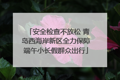 安全检查不放松 青岛西海岸新区全力保障端午小长假群众出行