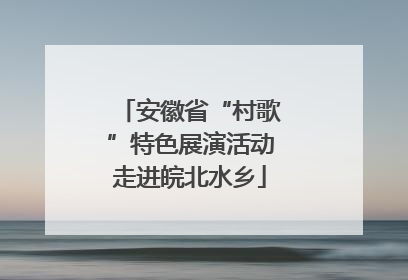 安徽省“村歌”特色展演活动走进皖北水乡