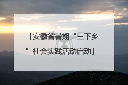 安徽省暑期“三下乡”社会实践活动启动