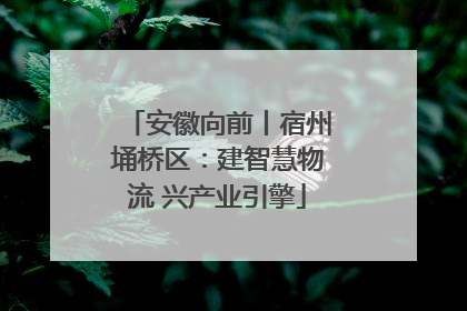 安徽向前丨宿州埇桥区：建智慧物流 兴产业引擎