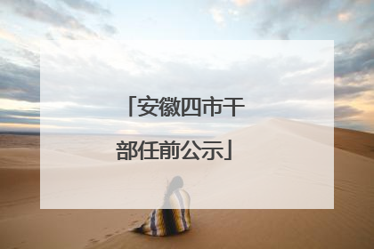 安徽四市干部任前公示