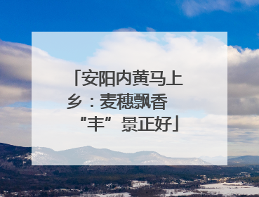 安阳内黄马上乡：麦穗飘香 “丰”景正好