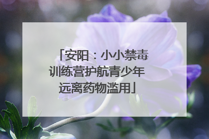 安阳：小小禁毒训练营护航青少年远离药物滥用