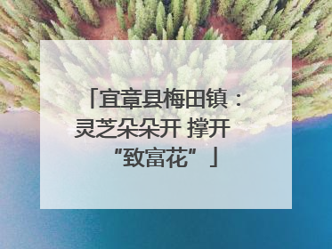 宜章县梅田镇：灵芝朵朵开 撑开“致富花”
