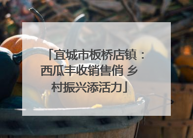 宜城市板桥店镇：西瓜丰收销售俏 乡村振兴添活力