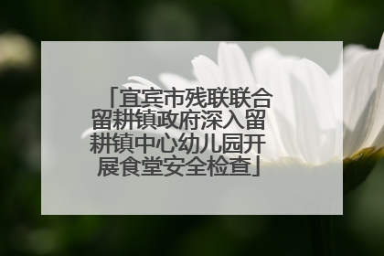 宜宾市残联联合留耕镇政府深入留耕镇中心幼儿园开展食堂安全检查