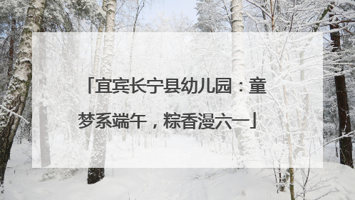 宜宾长宁县幼儿园：童梦系端午，粽香漫六一