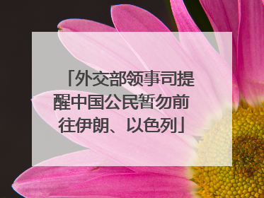 外交部领事司提醒中国公民暂勿前往伊朗、以色列