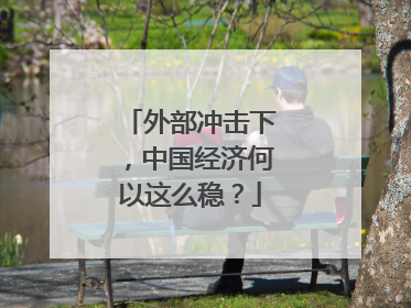 外部冲击下，中国经济何以这么稳？