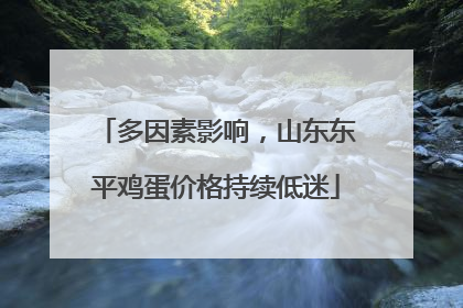 多因素影响，山东东平鸡蛋价格持续低迷