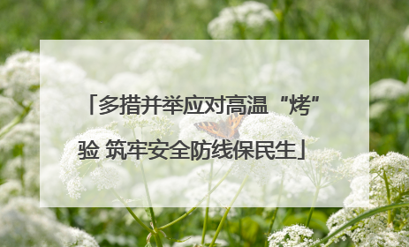 多措并举应对高温“烤”验 筑牢安全防线保民生