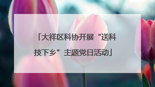 大祥区科协开展“送科技下乡”主题党日活动