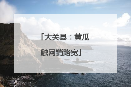大关县：黄瓜触网销路宽