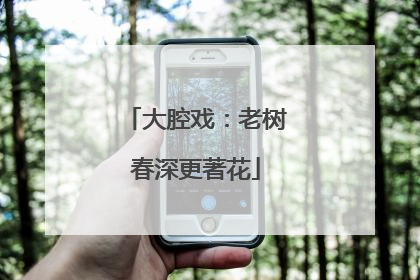 大腔戏：老树春深更著花