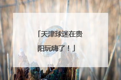 天津球迷在贵阳玩嗨了！