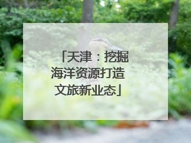 天津：挖掘海洋资源打造文旅新业态
