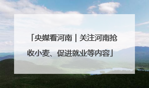 央媒看河南｜关注河南抢收小麦、促进就业等内容