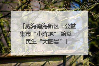 威海南海新区：公益集市“小阵地” 绘就民生“大图景”