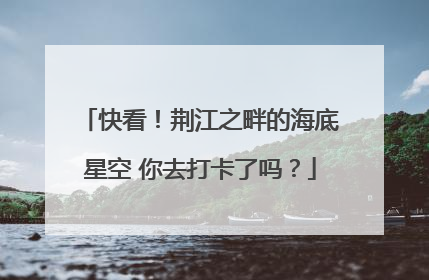 快看！荆江之畔的海底星空 你去打卡了吗？