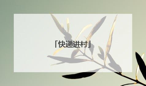 快递进村