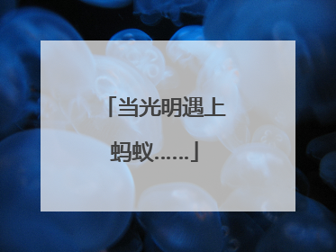 当光明遇上蚂蚁……