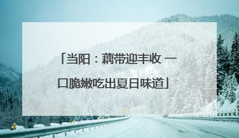 当阳：藕带迎丰收 一口脆嫩吃出夏日味道
