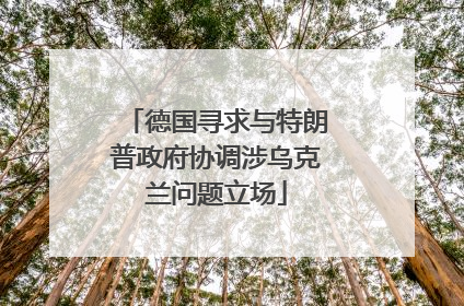 德国寻求与特朗普政府协调涉乌克兰问题立场