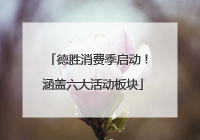 德胜消费季启动！涵盖六大活动板块