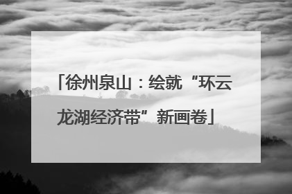 徐州泉山：绘就“环云龙湖经济带”新画卷