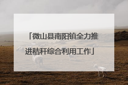 微山县南阳镇全力推进秸秆综合利用工作