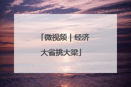 微视频｜经济大省挑大梁
