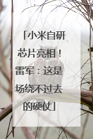 小米自研芯片亮相！雷军：这是场绕不过去的硬仗
