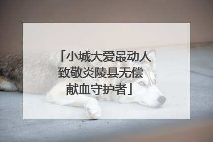 小城大爱最动人 致敬炎陵县无偿献血守护者