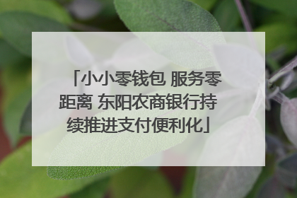 小小零钱包 服务零距离 东阳农商银行持续推进支付便利化