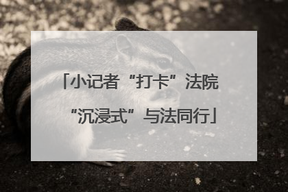 小记者“打卡”法院 “沉浸式”与法同行