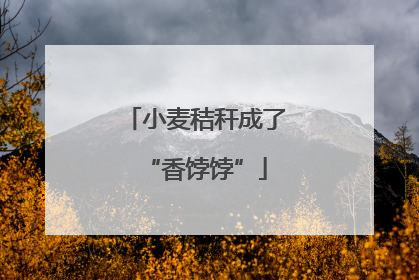 小麦秸秆成了“香饽饽”