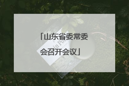 山东省委常委会召开会议