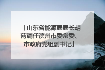 山东省能源局局长胡薄调任滨州市委常委、市政府党组副书记