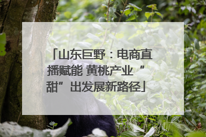山东巨野：电商直播赋能 黄桃产业“甜”出发展新路径