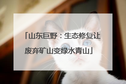 山东巨野：生态修复让废弃矿山变绿水青山
