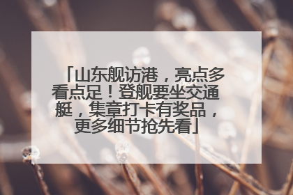 山东舰访港，亮点多看点足！登舰要坐交通艇，集章打卡有奖品，更多细节抢先看